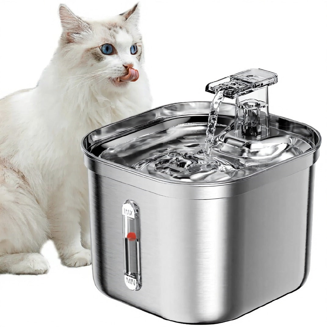 Fontaine à Eau Silencieuse pour Chat en Inox - Foivo