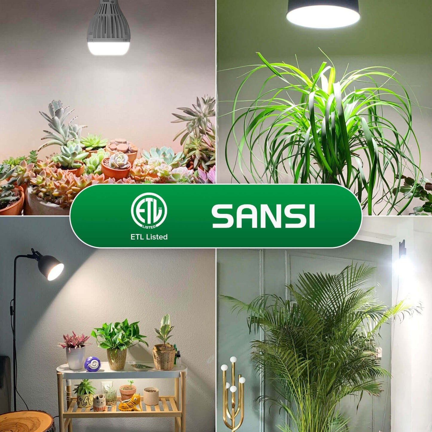 A21 LED Grow Light 24W E26 Full Spectrum Plant Bulb