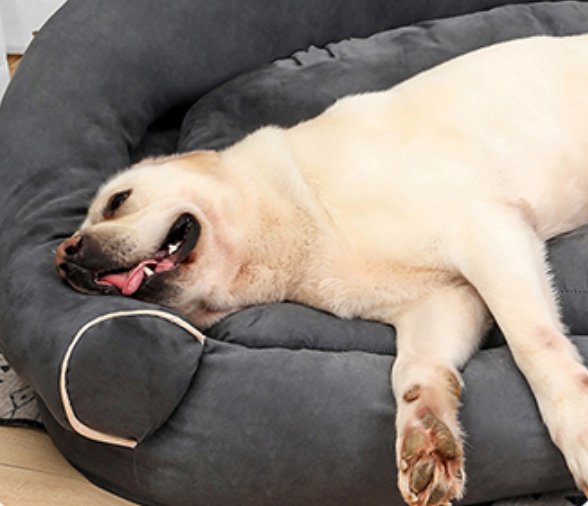 Deep Sleeper Dog Bed, Plush Cotton Filling, Machine Washable Comfort