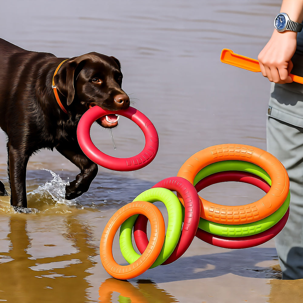 Dog Ring Toy, Durable, Natural Rubber, Water Play