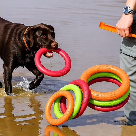 Dog Ring Toy, Durable, Natural Rubber, Water Play