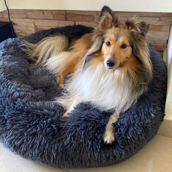Dog Cushion, Washable, Plush for Pet Anxiety