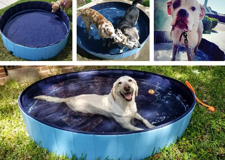 Dog Pool Collapsible Outdoor Pet Bath