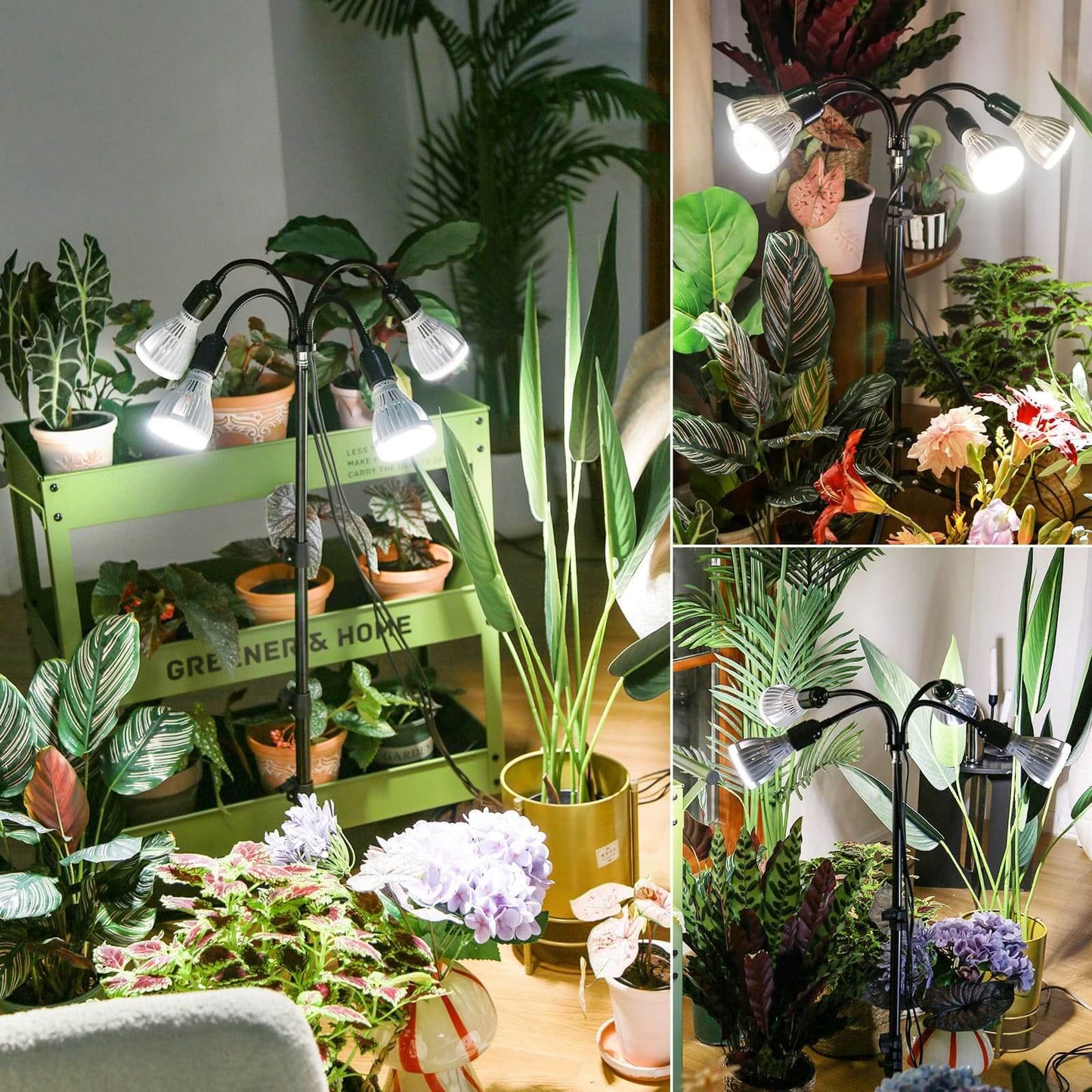 120W Multi-head Grow Light, Adjustable Tripod Stand, Indoor Plants