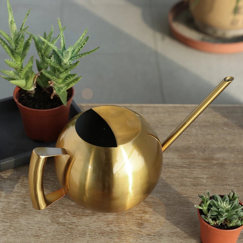 Minimalist Plant Watering Can, 1500ml, Stainless Steel, Plant Use