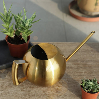 Minimalist Plant Watering Can, 1500ml, Stainless Steel, Plant Use