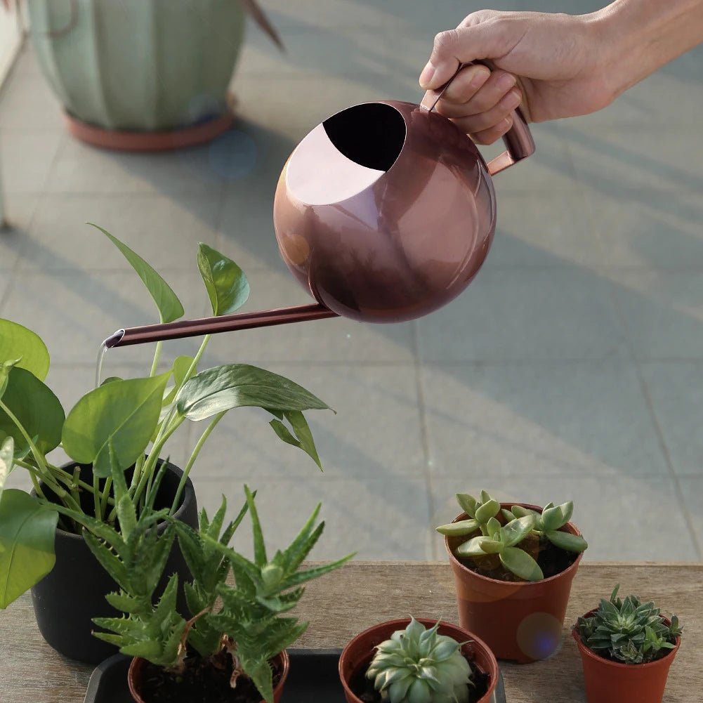 Minimalist Plant Watering Can, 1500ml, Stainless Steel, Plant Use