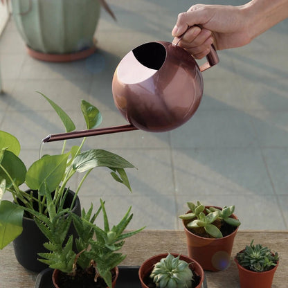 Minimalist Plant Watering Can, 1500ml, Stainless Steel, Plant Use