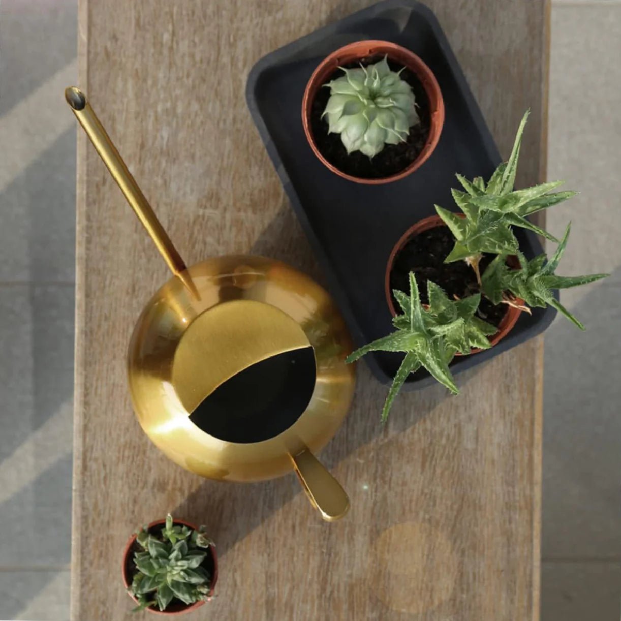 Minimalist Plant Watering Can, 1500ml, Stainless Steel, Plant Use