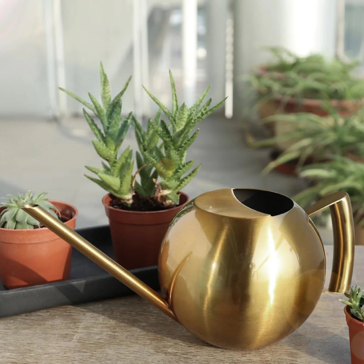 Minimalist Plant Watering Can, 1500ml, Stainless Steel, Plant Use
