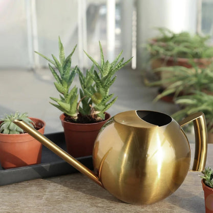 Minimalist Plant Watering Can, 1500ml, Stainless Steel, Plant Use