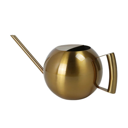 Minimalist Plant Watering Can, 1500ml, Stainless Steel, Plant Use
