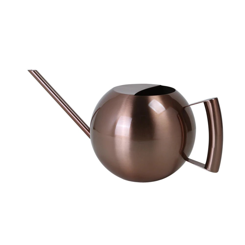 Minimalist Plant Watering Can, 1500ml, Stainless Steel, Plant Use