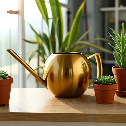 Minimalist Plant Watering Can, 1500ml, Stainless Steel, Plant Use
