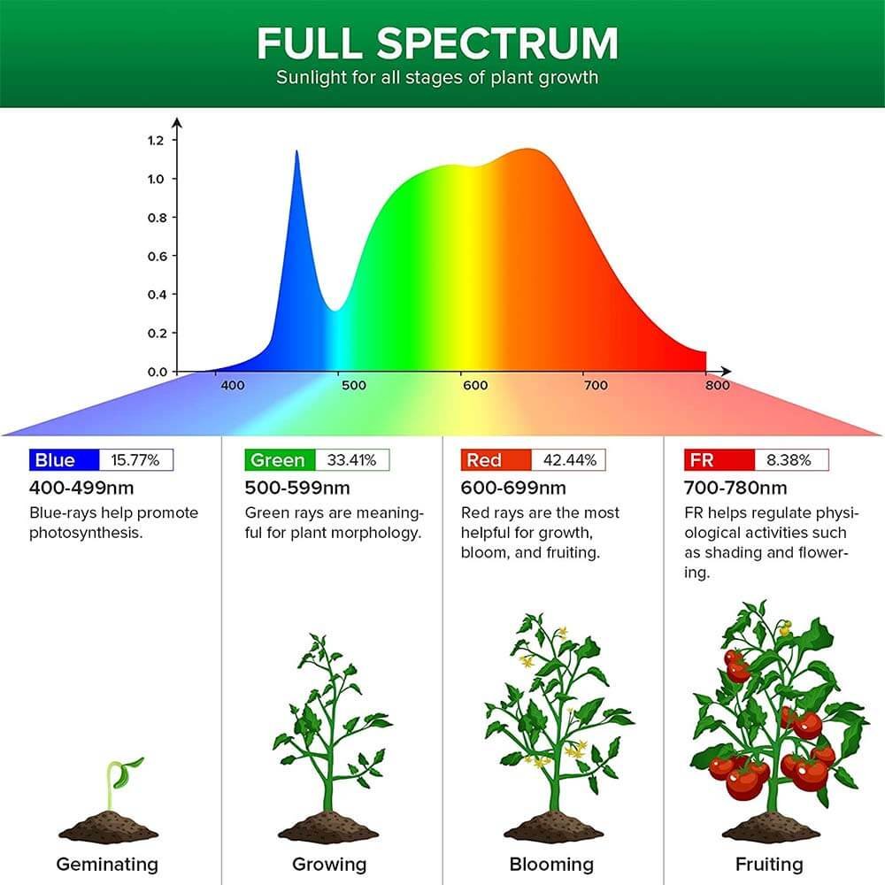 PAR20 LED Grow Light, 10W, E26 Full Spectrum Plant Bulb