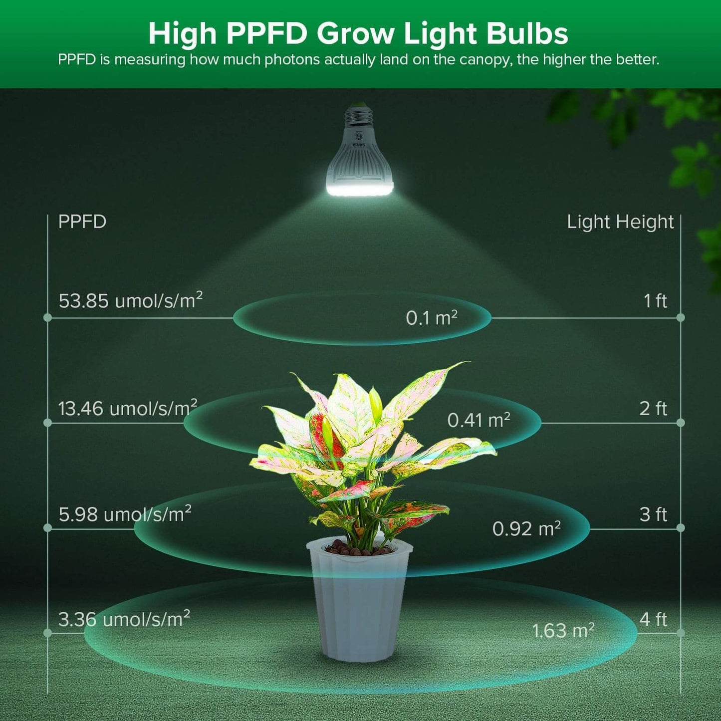 PAR20 LED Grow Light, 5W, E26 Full Spectrum Plant Bulb