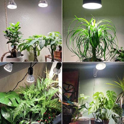 PAR20 LED Grow Light, 5W, E26 Full Spectrum Plant Bulb