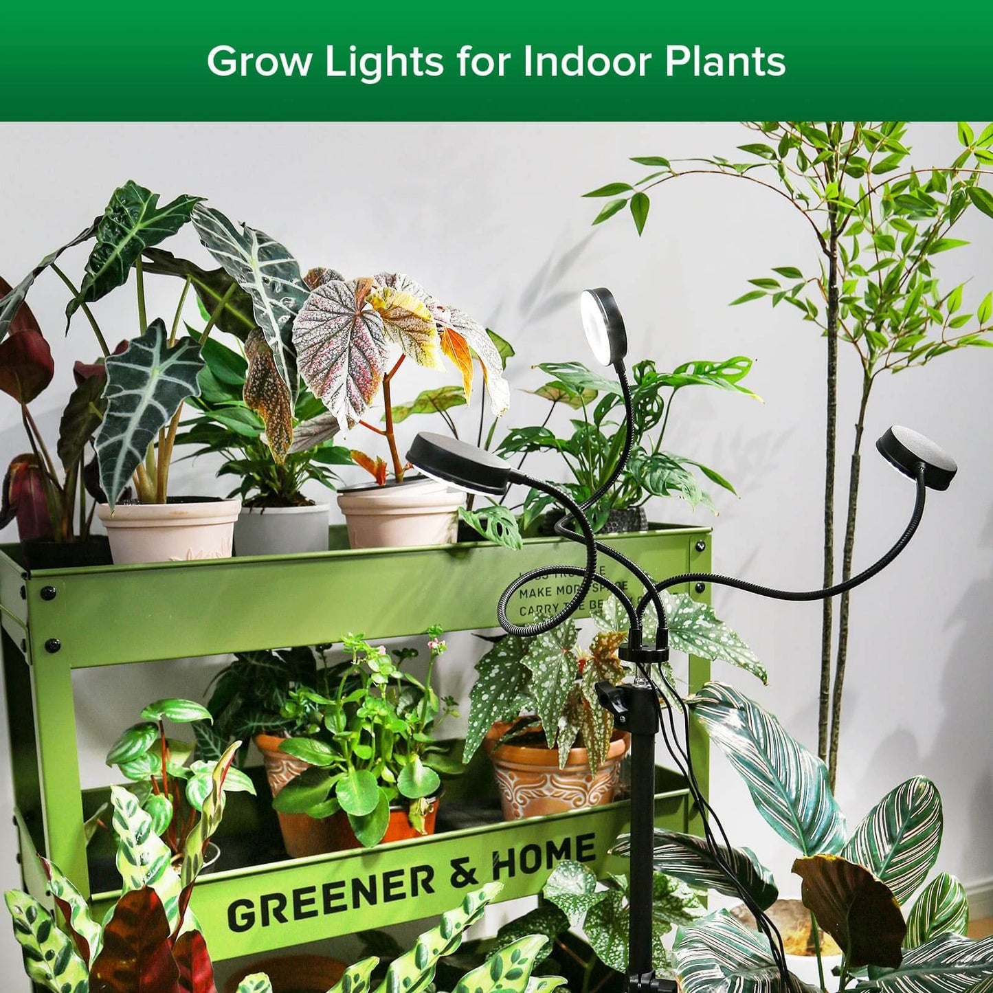 Plant Grow Light Full Spectrum 30W 3-Head Adjustable Tripod Remote