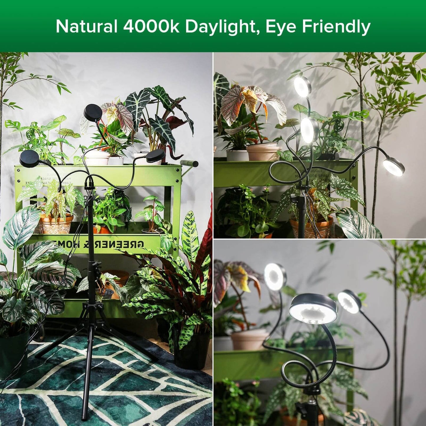 Plant Grow Light Full Spectrum 30W 3-Head Adjustable Tripod Remote