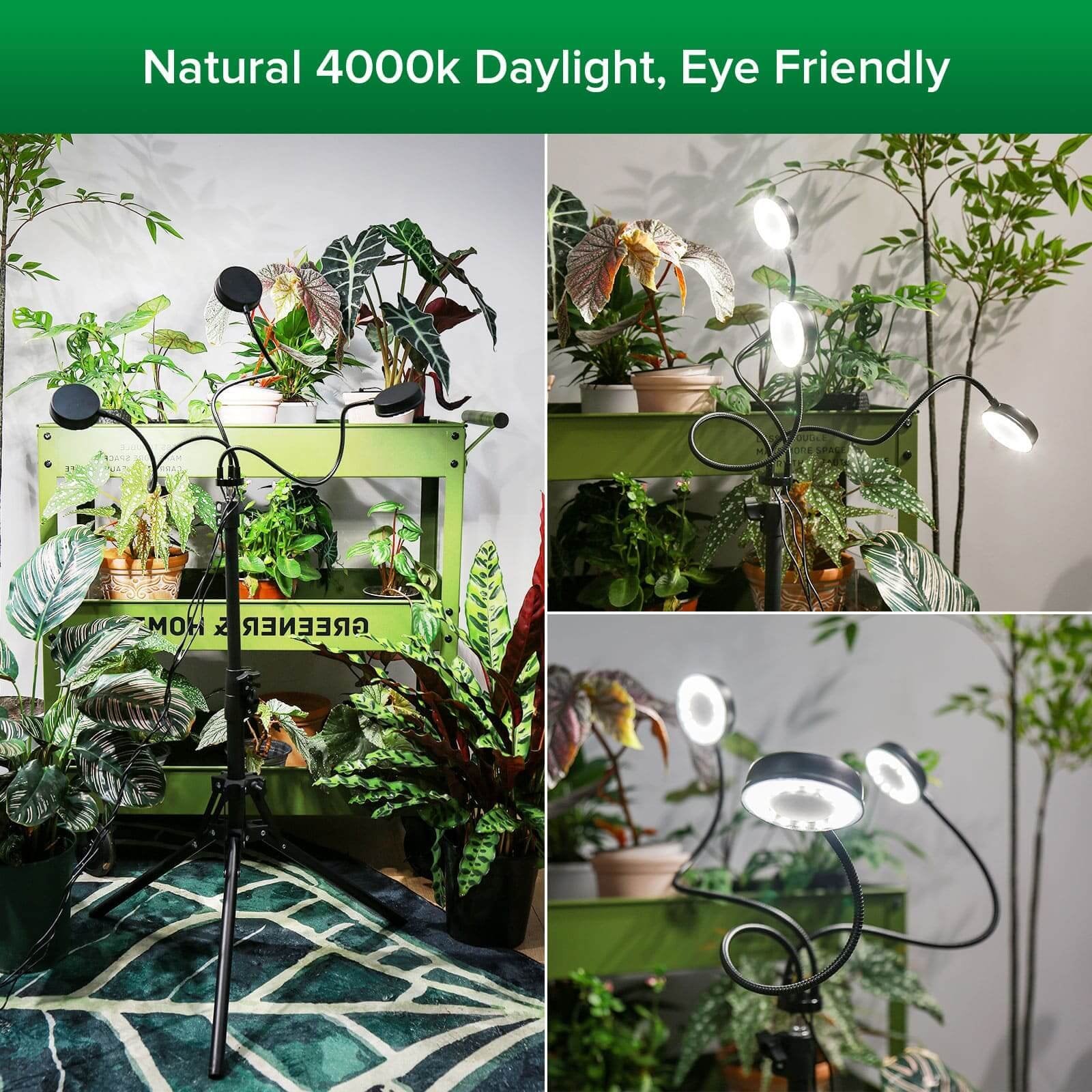 Plant Grow Light Full Spectrum 30W 3-Head Adjustable Tripod Remote