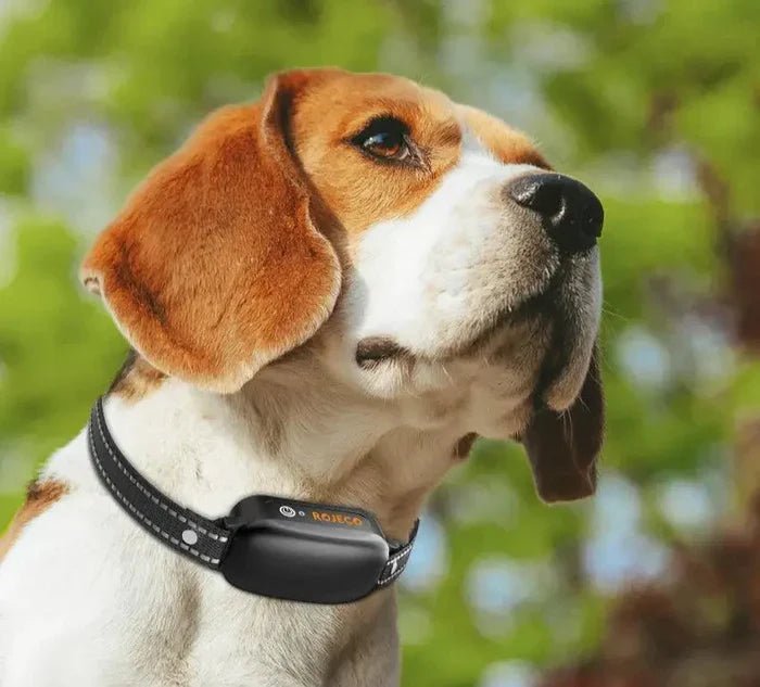 Electric Training Collar 1000m Range Dog Training