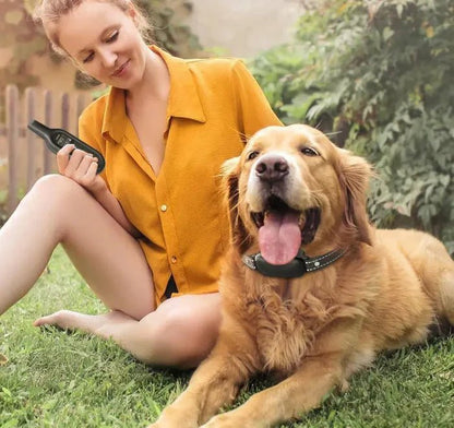 Electric Training Collar 1000m Range Dog Training