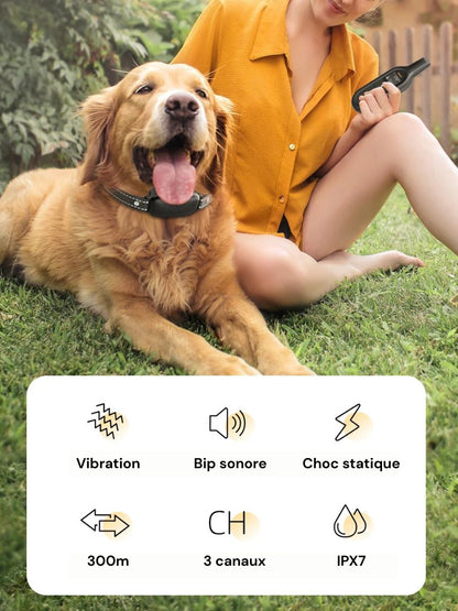Electric Training Collar 1000m Range Dog Training