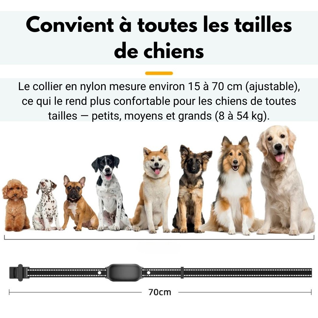Electric Training Collar 1000m Range Dog Training
