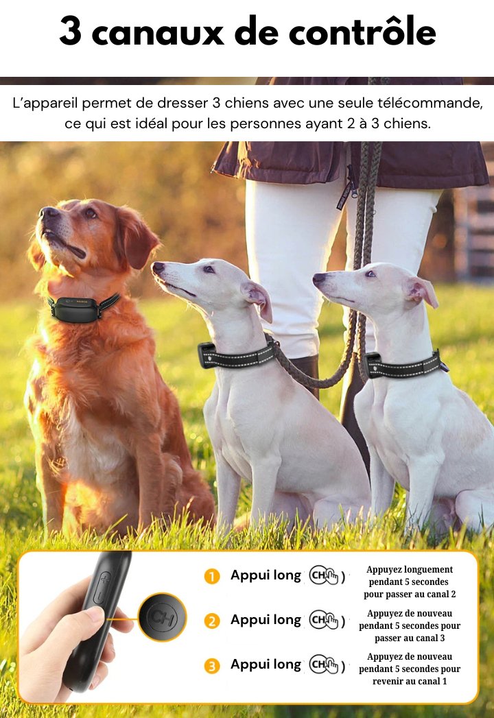 Electric Training Collar 1000m Range Dog Training