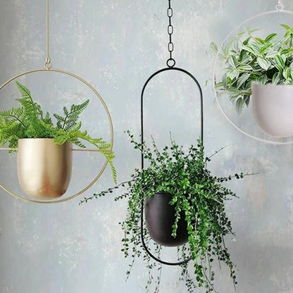 Halo Hanging Plant Pot, Anti-Rust, No Drain, Iron, Indoor Outdoor
