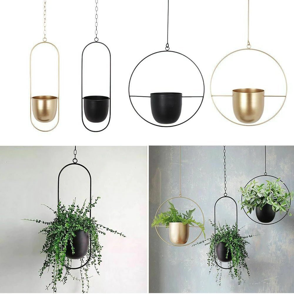 Halo Hanging Plant Pot, Anti-Rust, No Drain, Iron, Indoor Outdoor