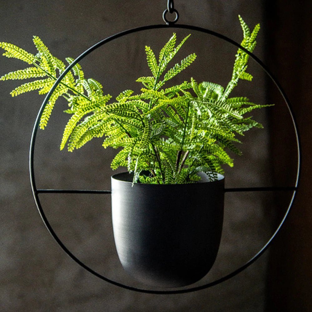 Halo Hanging Plant Pot, Anti-Rust, No Drain, Iron, Indoor Outdoor