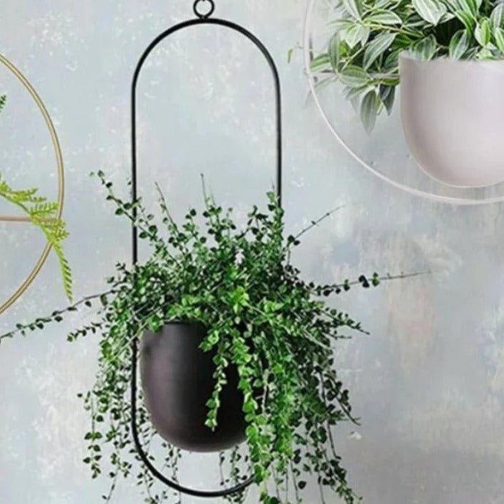 Halo Hanging Plant Pot, Anti-Rust, No Drain, Iron, Indoor Outdoor
