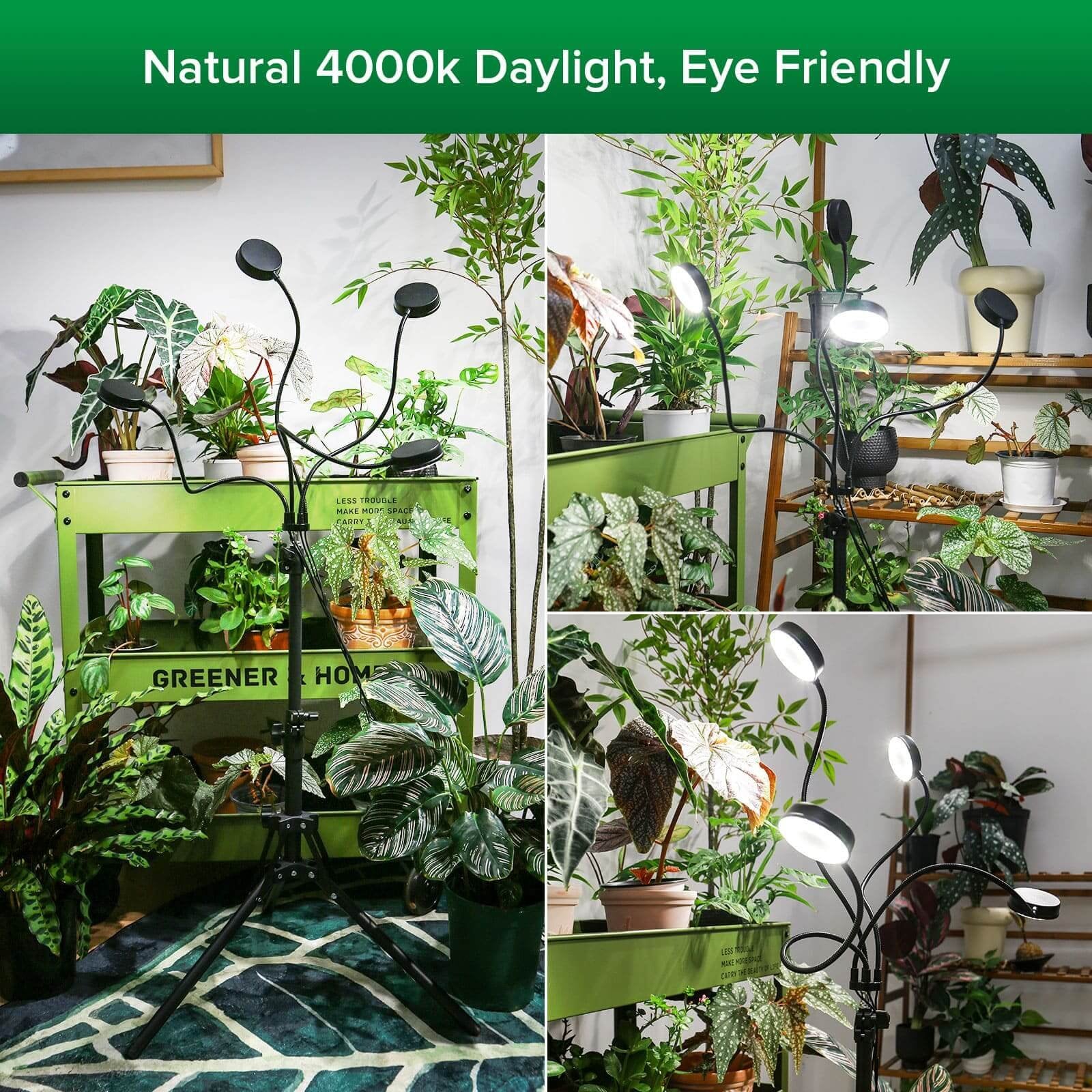 Grow Light, 40W 4-Head, Full Spectrum, Tripod Stand, Remote, Plant