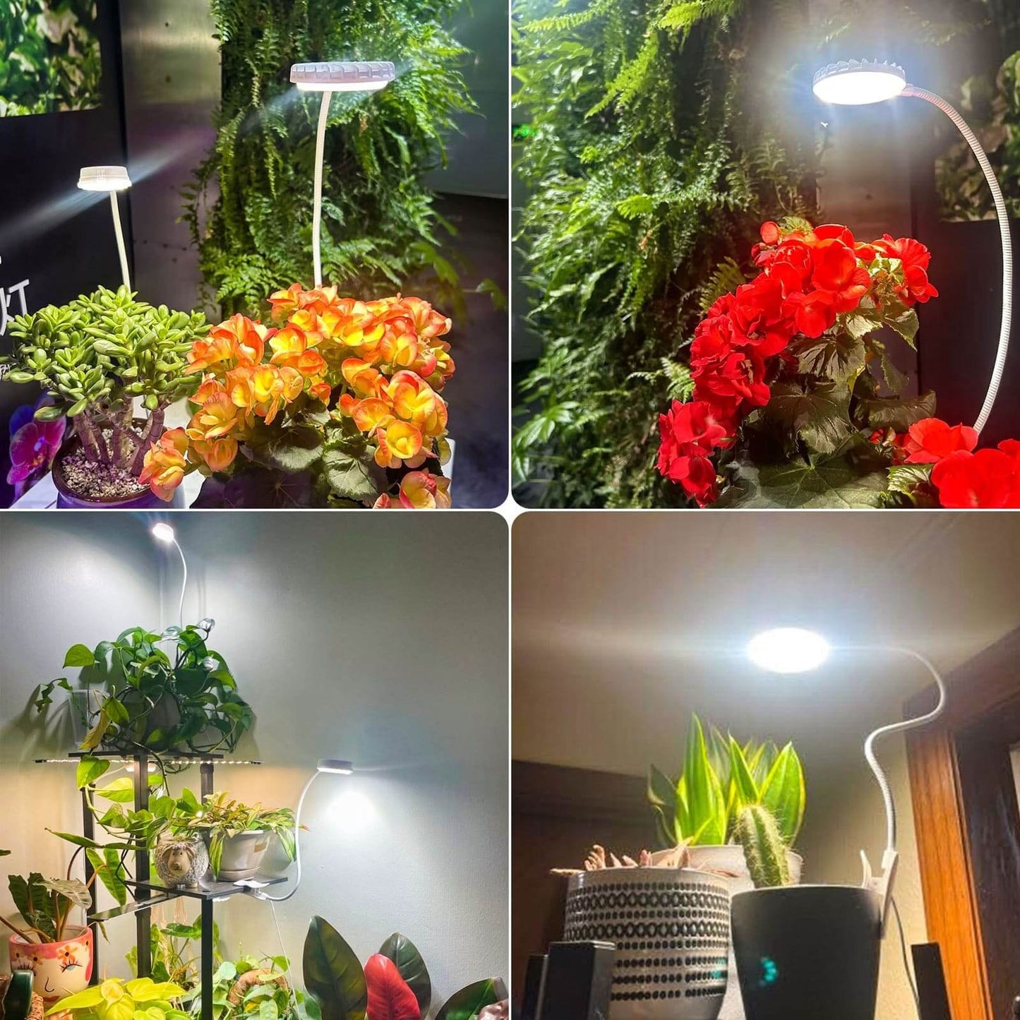 LED Grow Light, 10W, Pot Clip, Full Spectrum Indoor Plant