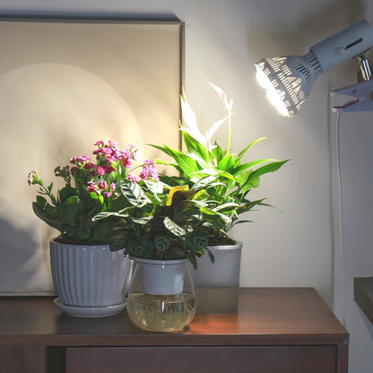 BR30 LED Grow Light, 36W, E26 Full Spectrum Plant Bulb