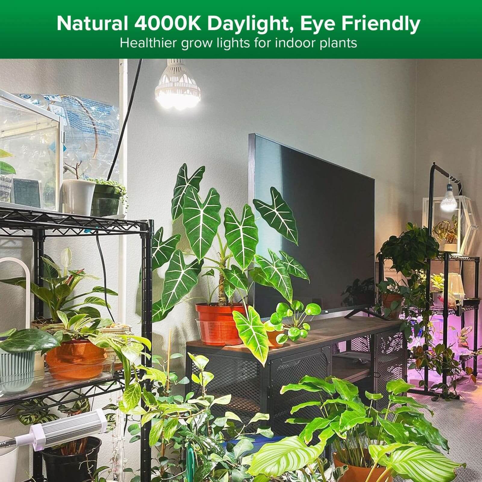 BR30 LED Grow Light, 36W, E26 Full Spectrum Plant Bulb