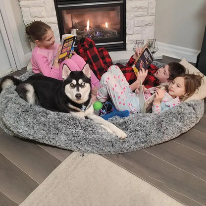 Large Dog Bed, Orthopedic Foam, Machine Washable