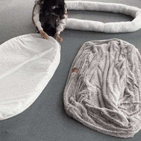 Large Dog Bed, Orthopedic Foam, Machine Washable