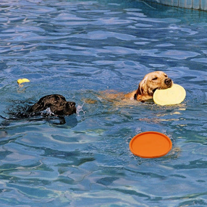 Dog Flying Disc, Durable Natural Rubber, Floats, Fetch Toy