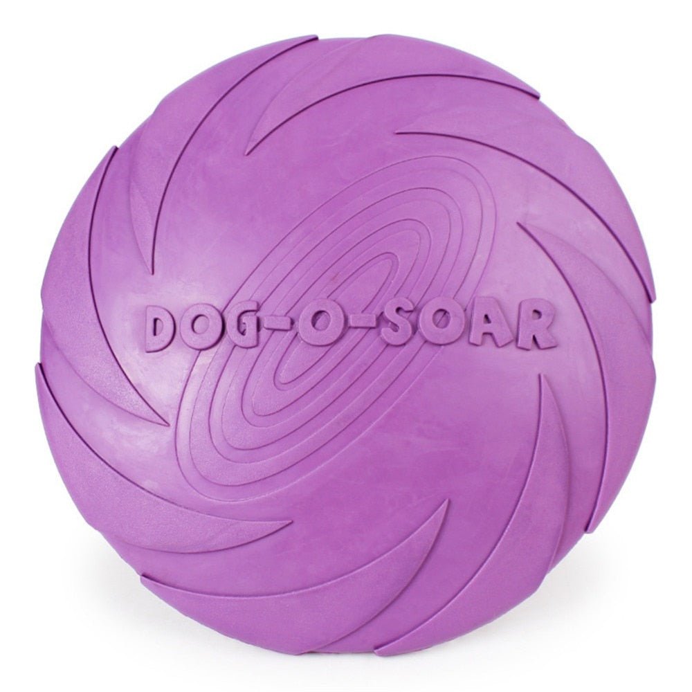 Dog Flying Disc, Durable Natural Rubber, Floats, Fetch Toy