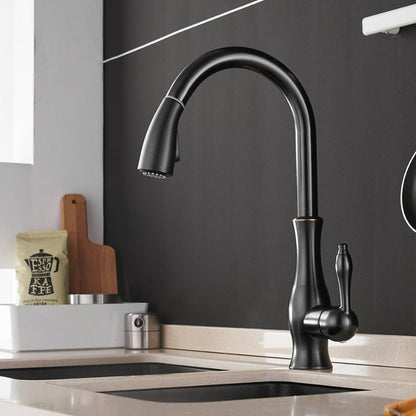 Anton Pull-Out Stainless Steel Kitchen Faucet