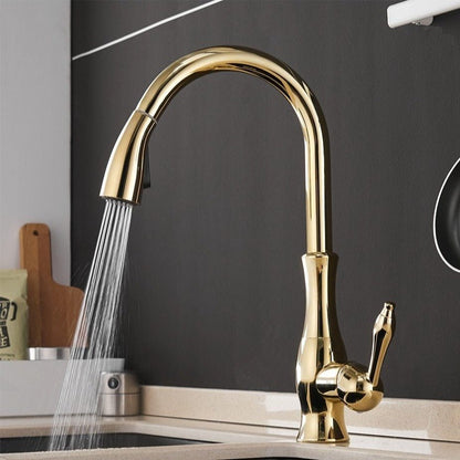 Anton Pull-Out Stainless Steel Kitchen Faucet