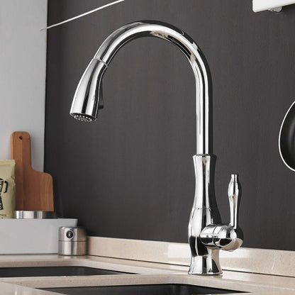 Anton Pull-Out Stainless Steel Kitchen Faucet