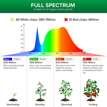 PAR25 LED Grow Light, 30W, E26 Full Spectrum Plant Bulb