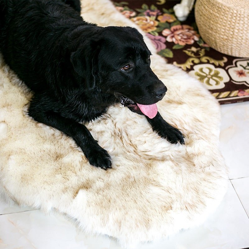 Faux Fur Dog Bed, Plush Foam Orthopedic Base, Relaxing Pet Lounger