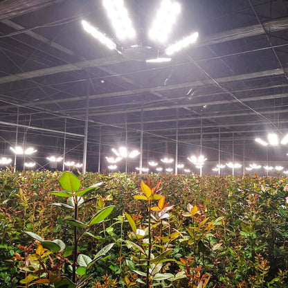 Led Grow Light, 120W/240W, Folding Wings, Full Spectrum, IP65