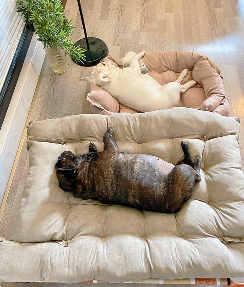 Adjustable Dog Nest Bed, Cotton Filled, Machine Washable Comfort
