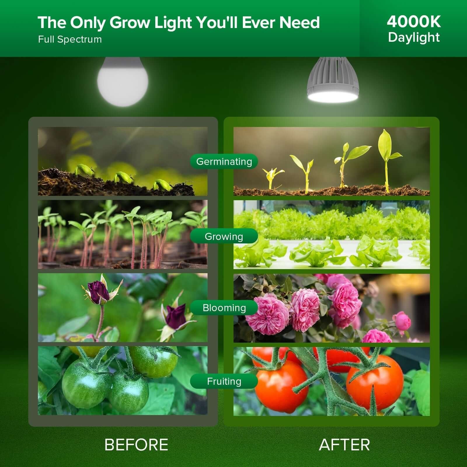 PAR25 LED Grow Light, 32W, E26 Full Spectrum Plant Bulb