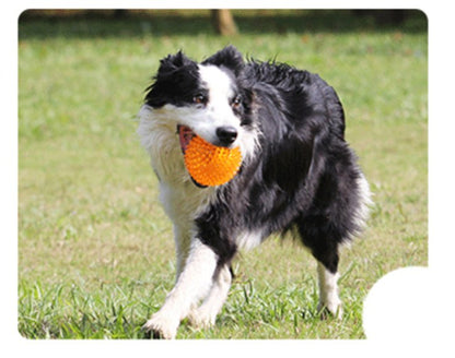 Spiky Squeaker Ball, TPR Dental Dog Chew Toy